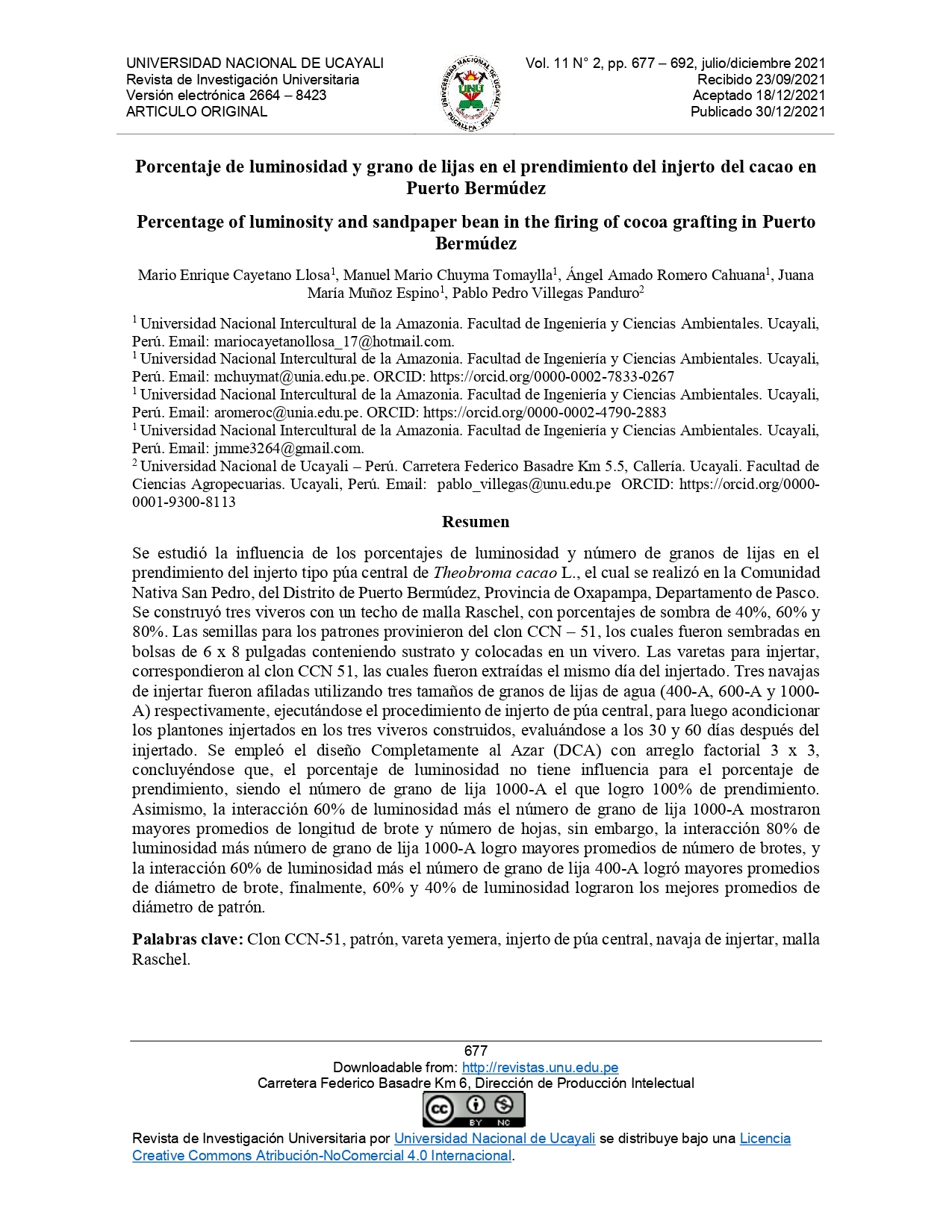 Porcentaje de luminosidad y grano de lijas en el prendimiento del injerto del cacao en Puerto Bermúdez